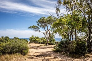 En sti af grus fører ned til en strand med træer og en klar himmel.