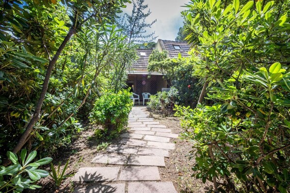 A stone pathway leading to a building surrounded by lush greenery.