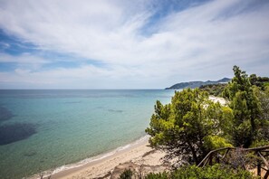 Ranta