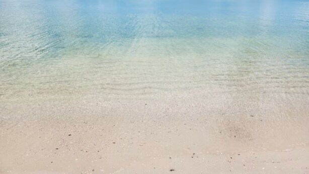 A beach with clear shallow water and a sandy shore. - Coco Cobana - Heated Pool near Beach & Dining (Naples)