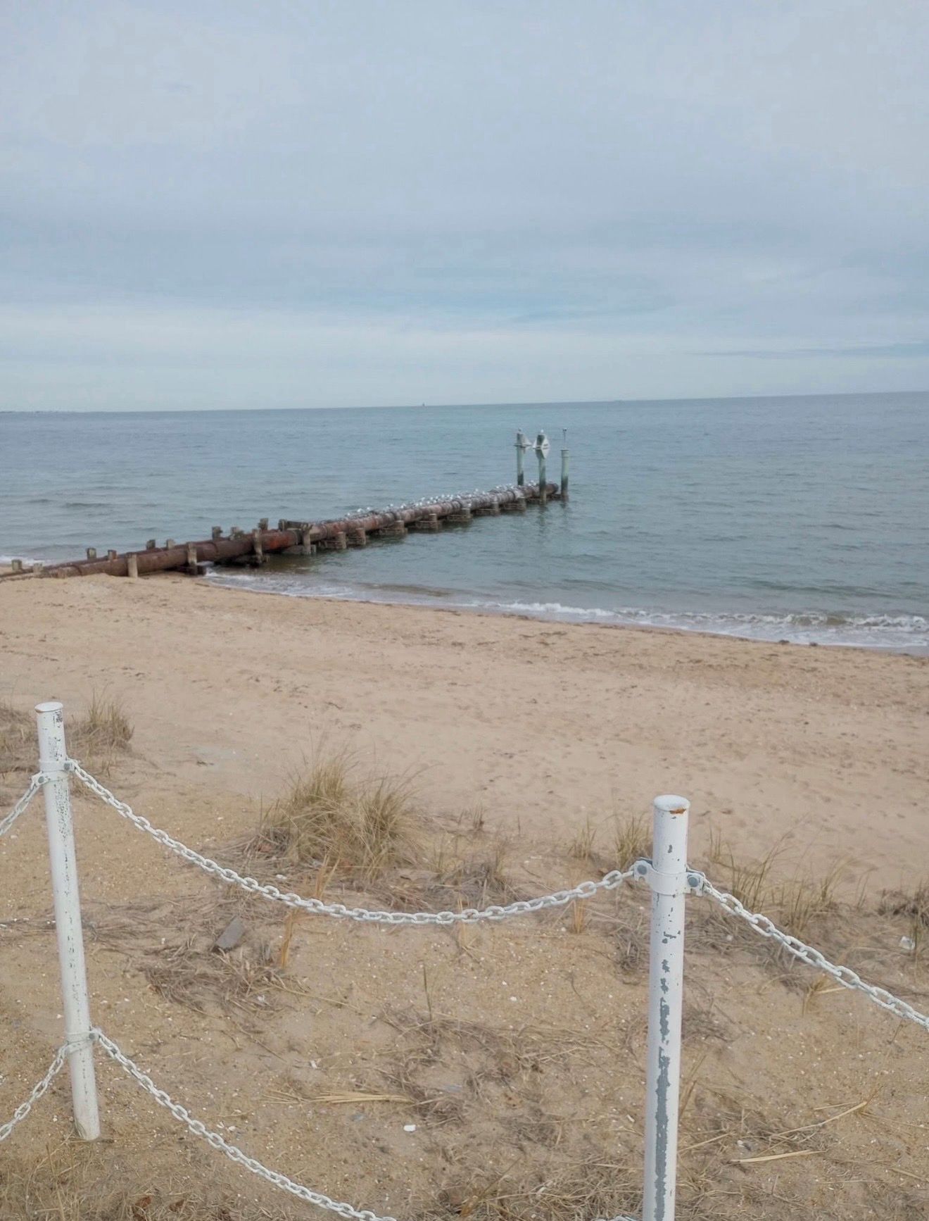 A beach with a chain-link fence and a wooden jetty extending into the water.