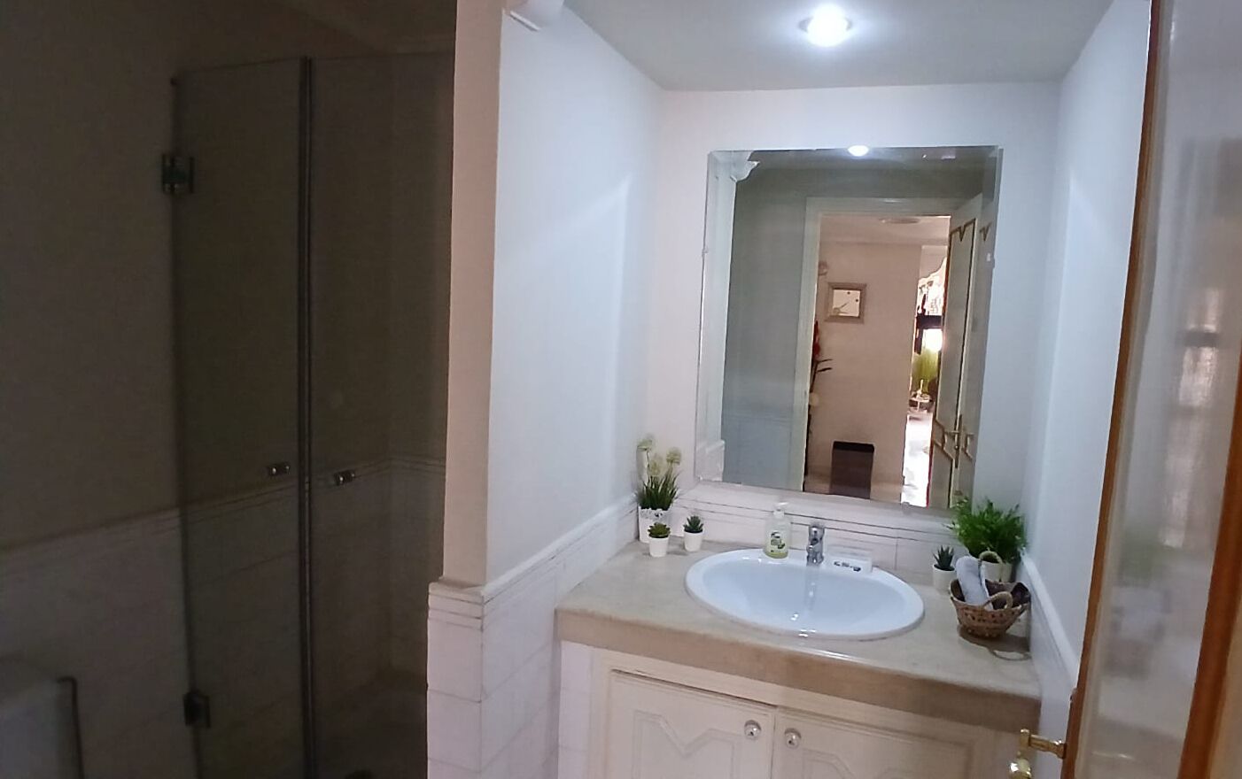 Ducha, secador de pelo, bidé y toallas