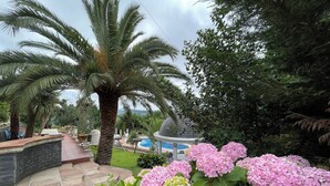 A garden with palm trees, hydrangeas, and a pool area. - Ebony & Ivory Suite Home. Probably One of a Kind in Spain (Camargo)