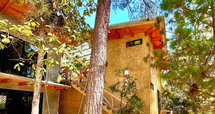 Beautiful cabin in the middle of the forest, Cabaña Colibrí.