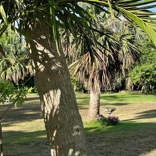 Charming Historical 1-bedroom cottage in central Bermuda with WiFi, AC