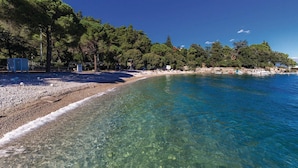 A beach with clear water, pebbles, and trees.