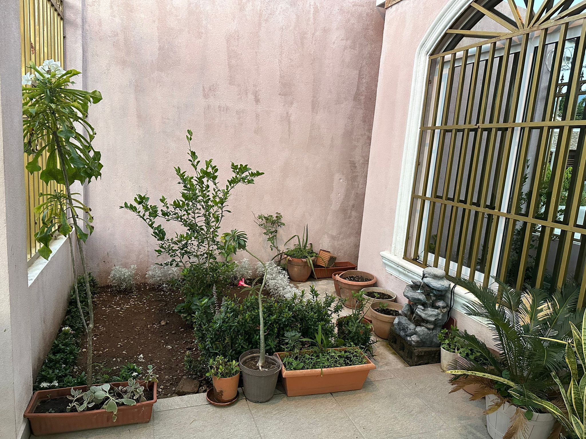 Une petite cour agrémentée de différents pots de plantes et d’un élément décoratif en pierre.