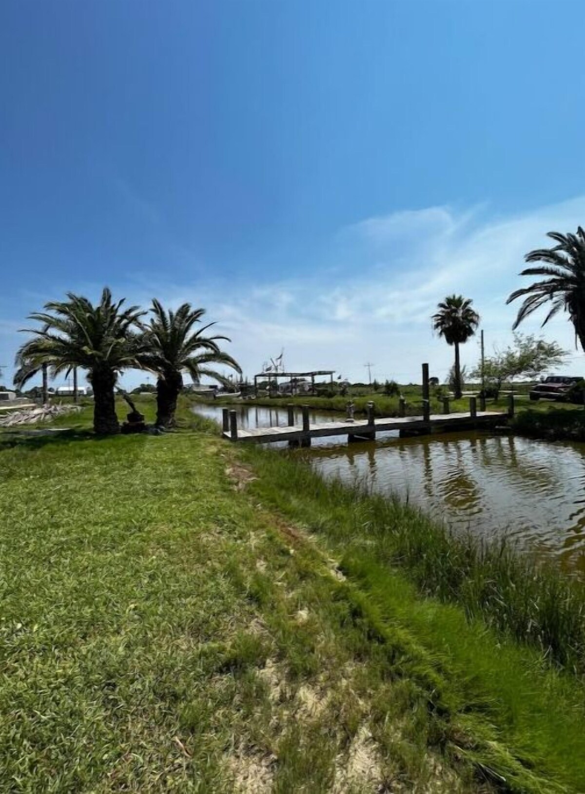 Imagen de perfil del propietario o de la propietaria