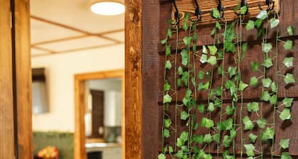 9511 Compressor Rd, Chesterhill, OH - Outdoor Movie Theater with Outdoor Kitchen and Games