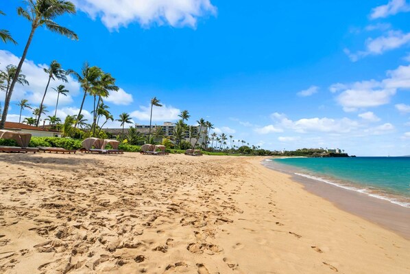 Una playa cerca