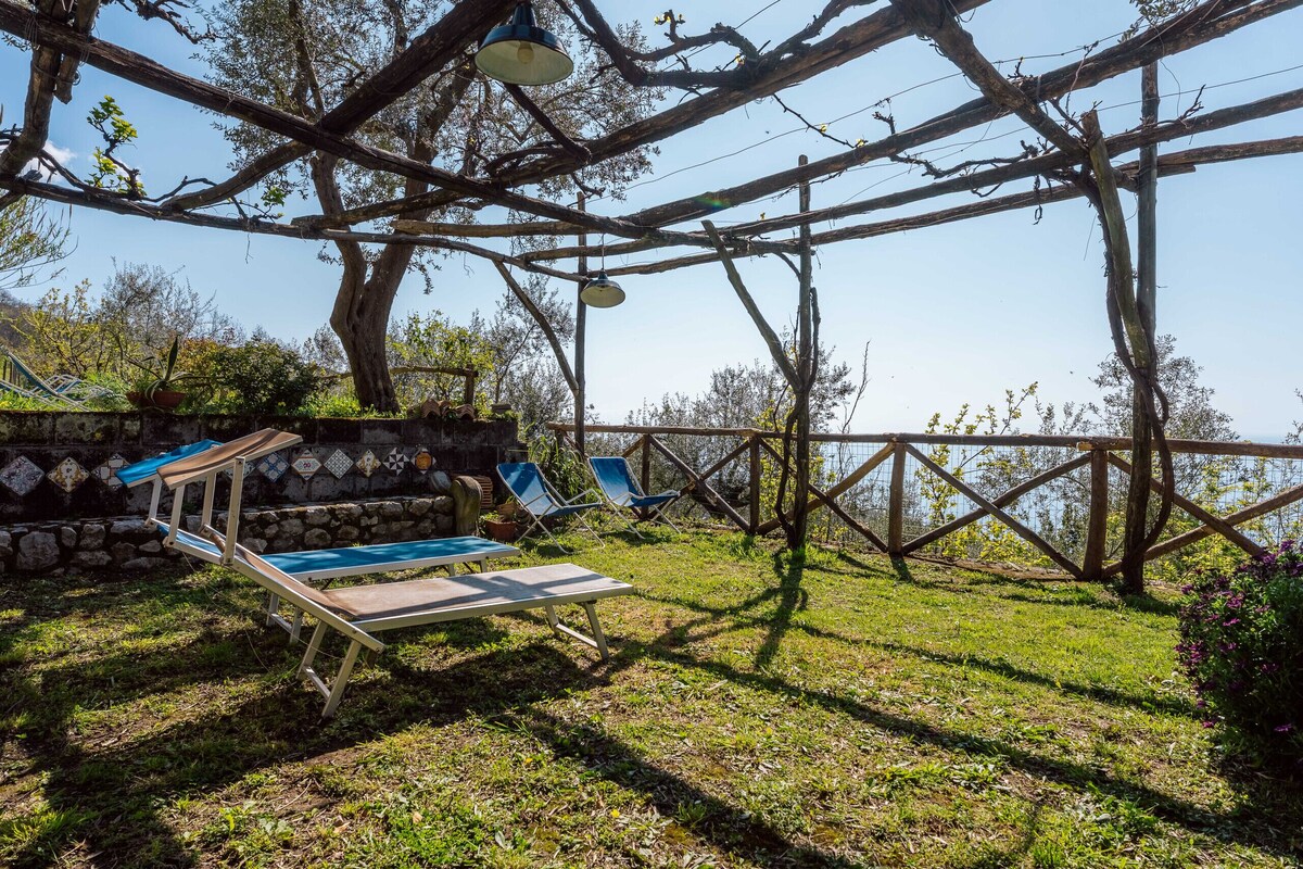 オーナーのプロフィール画像