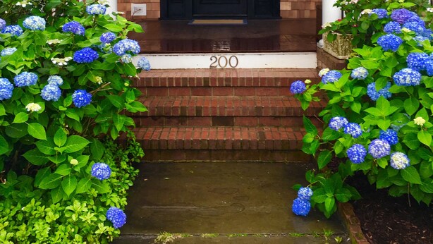 A house with a black front door, white columns, and a number 200 on the steps. - SPRING LAKER 6 bedroom wrap around porch 2 blocks to beach 1 block  to town (Spring Lake)