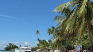 Une plage avec une eau d’un bleu limpide, des palmiers et un yacht.
