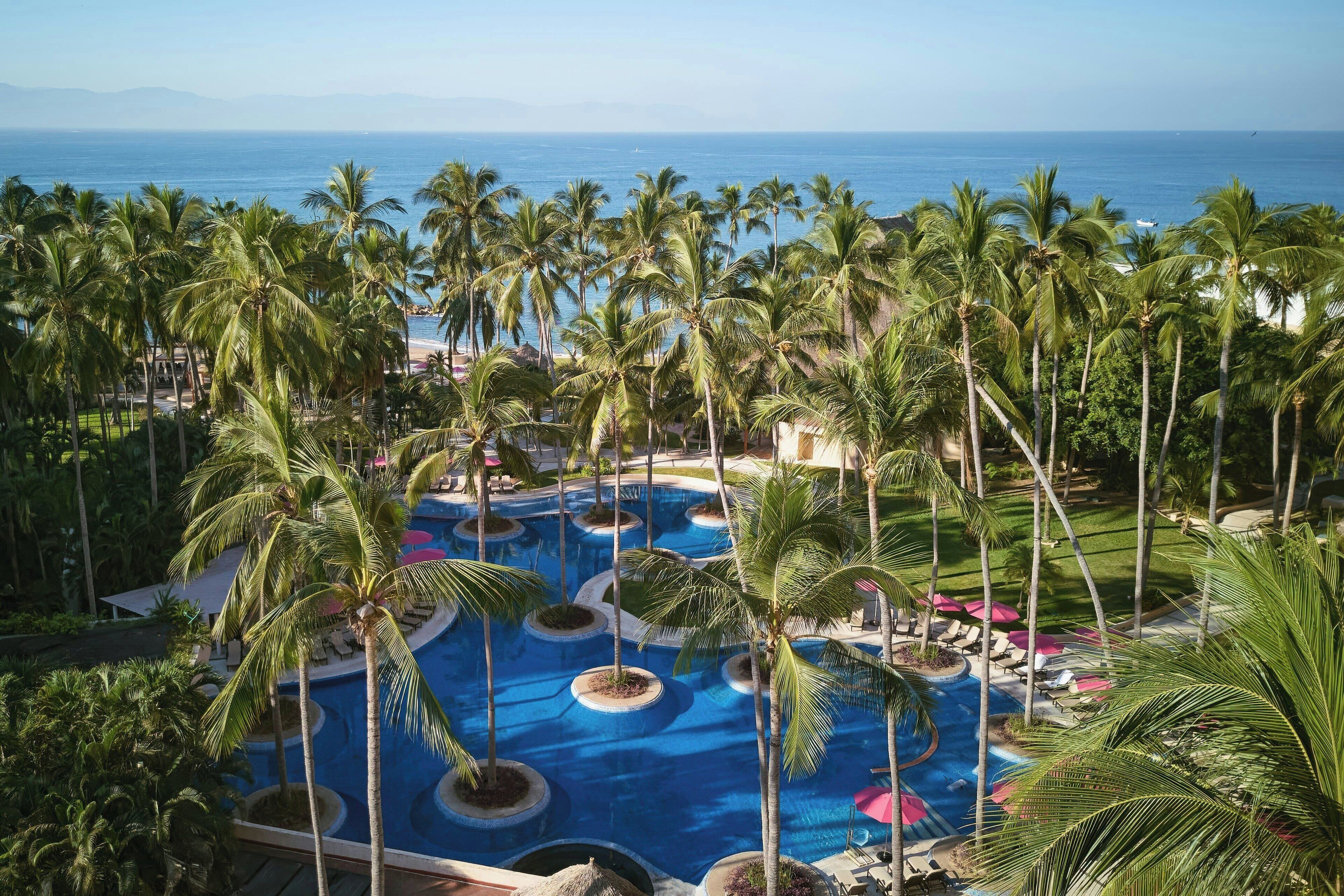 A resort pool with palm trees and a view of the ocean.