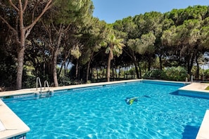 Piscina retangular com água azul cristalina, rodeada por árvores e um deck revestido com azulejos.
