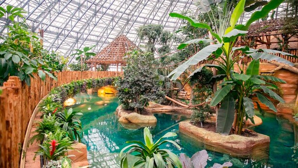 An indoor botanical garden with a glass ceiling, a central water feature, and various tropical plants. - Gite avec piscine et jacuzzi (Seigy)