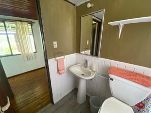 Shower, hair dryer, soap, toilet paper