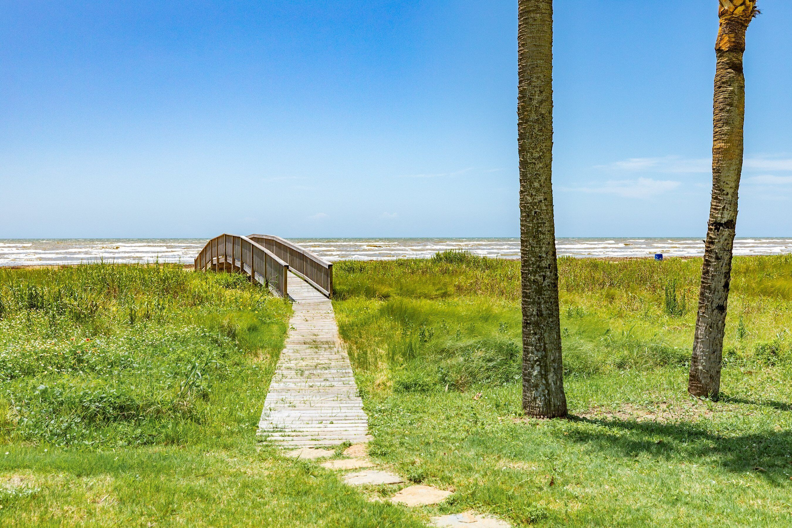 Un muelle de madera que conduce a una playa con palmeras y cielo despejado.