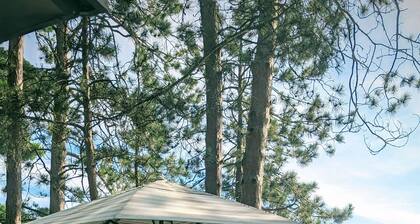 Relax, golf, fish & disconnect from today's fast pace living on Sand Lake