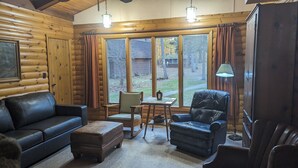 TV, fireplace, DVD player, books