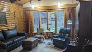 TV, fireplace, DVD player, books