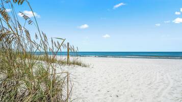 Playa en los alrededores