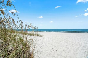 Nära stranden