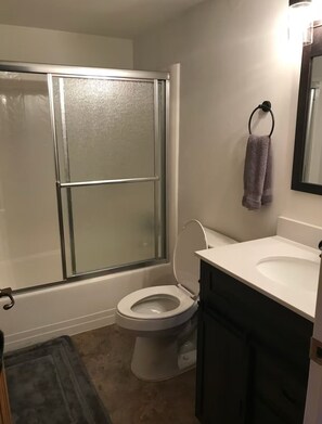 Hair dryer, towels, soap, toilet paper