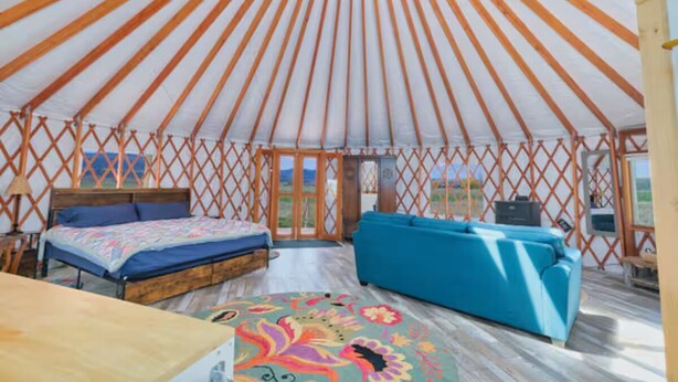 A yurt with a bed, a sofa, and a small table. - Enchanting yurt in secluded mountain view setting (Swan Valley)