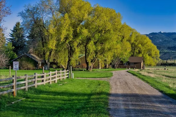 A rural road leading to a house with a speed limit sign.