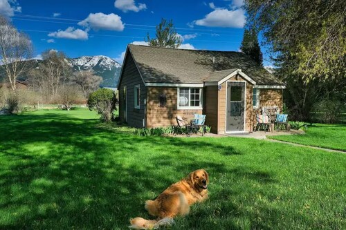 Wrangler 2 bedroom cozy cabin with hammock