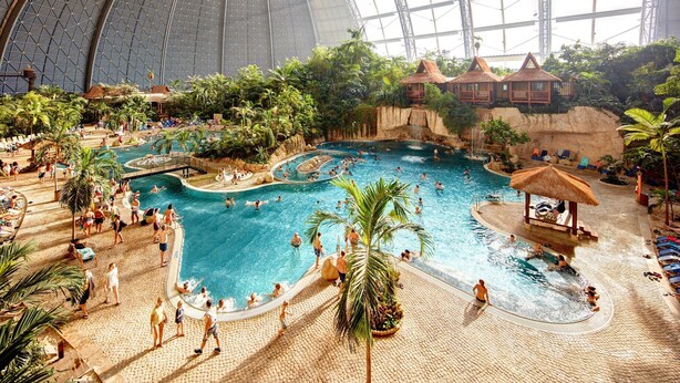 Une piscine intérieure dotée de plusieurs couloirs, entourée de palmiers et de plantes tropicales.