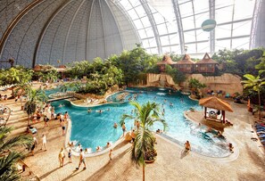 Une piscine intérieure dotée de plusieurs couloirs, entourée de palmiers et de plantes tropicales.