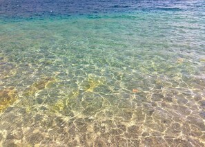 Husvogn | Utsikt fra overnattingsstedet