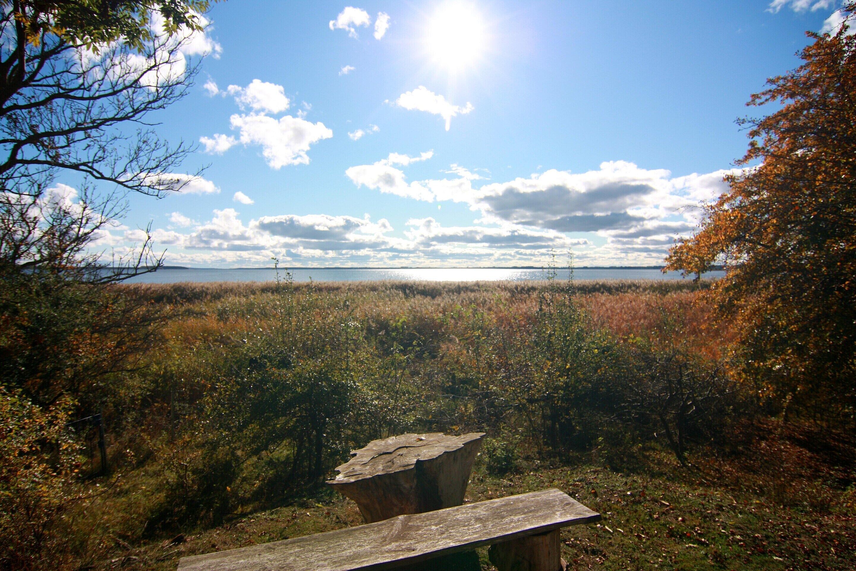 Un banc situé dans un cadre naturel, avec vue sur une étendue d’eau et des arbres.