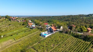 A vineyard with rows of grapevines, a large house with a swimming pool, and several smaller houses in the background. - Villa Vinea by Villas Guide (Novakovec)