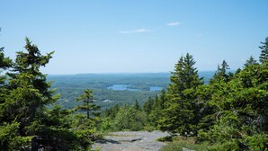Vuoristoinen maisema, jossa on tiheää metsää ja kauempana näkyy järvi.