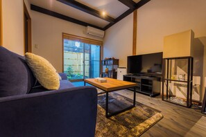 TV, fireplace, books