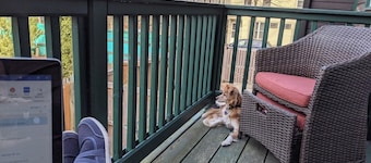 Charming Cambridge 2-BR townhome steps to MIT, Harvard, T Red Line, food & more!