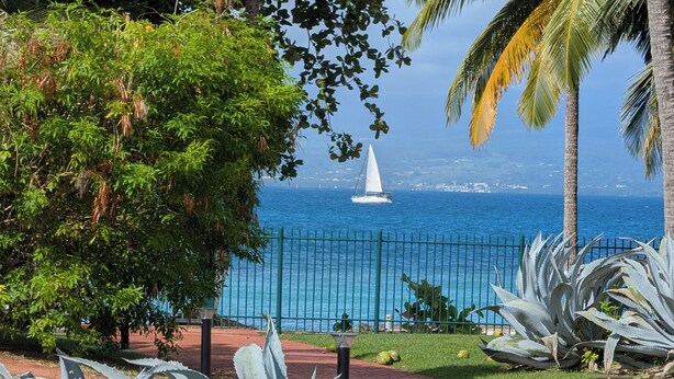 Vista costera con un velero, palmeras y una cerca.