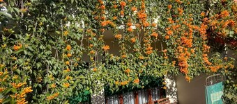 Private Room with balcony & A/C near Hipódromo San Isidro