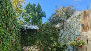 A courtyard with a tiled floor, a variety of potted plants, and a bamboo fence. - Private Room in a Shared House with a Balcony and Air Conditioning Near the San Isidro Racetrack (Martínez)