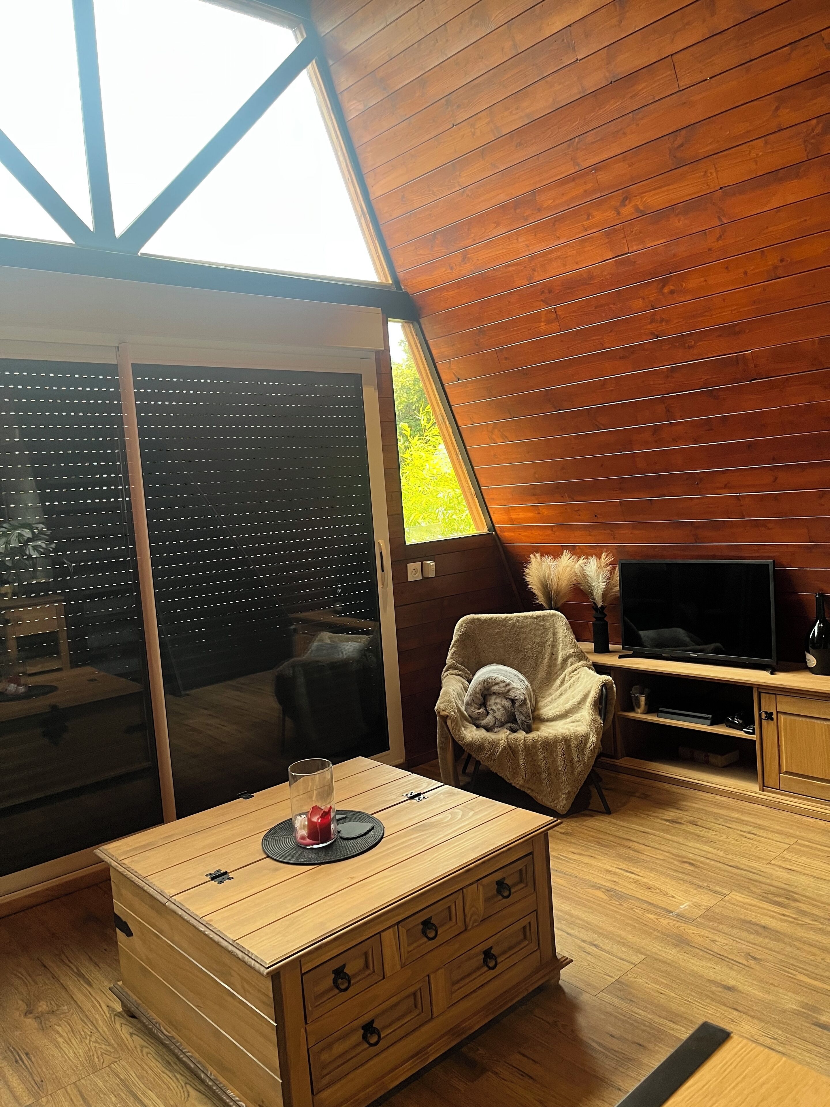 Una televisión, libros