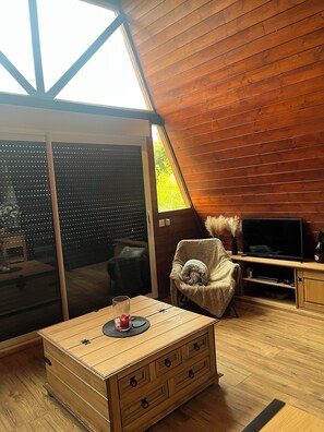 TV, books - Atypical cottage (Villampuy)