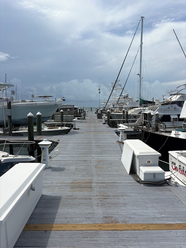 Marina