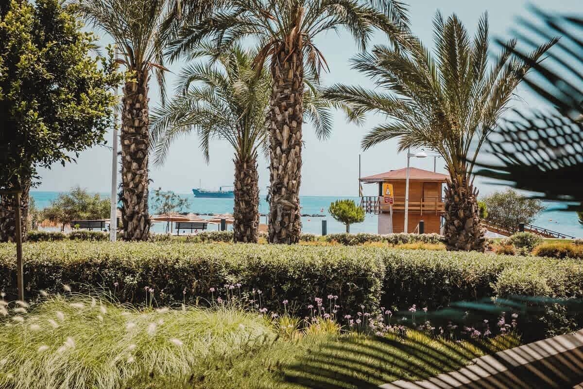 A coastal hotel with palm trees, a pool, and a view of the sea.