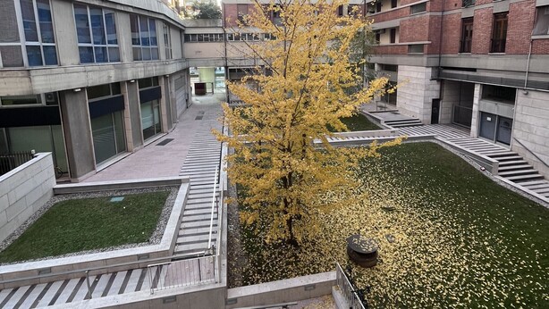 Un patio central con un árbol, rodeado por edificios de varios pisos con balcones y ventanas.