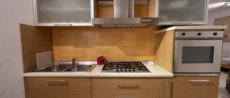 A compact kitchen with a stainless steel sink, a gas stove, and a built-in oven.