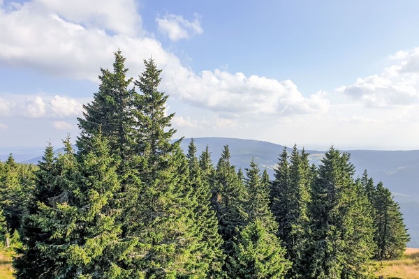 Bergforms, Baum, Natürlichen Umgebung, Berg, Wildnis, Hochland, Wald, Wolke, Hügel