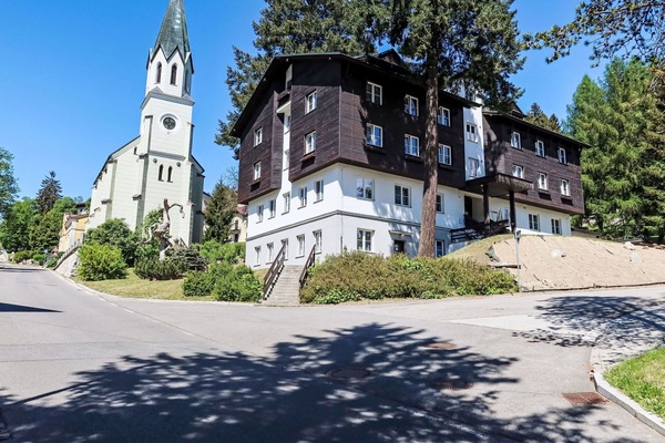 Baum, Strauch, Wohngebiet, Lärche, Bergstation, Vorort, Bergdorf, Immergrün